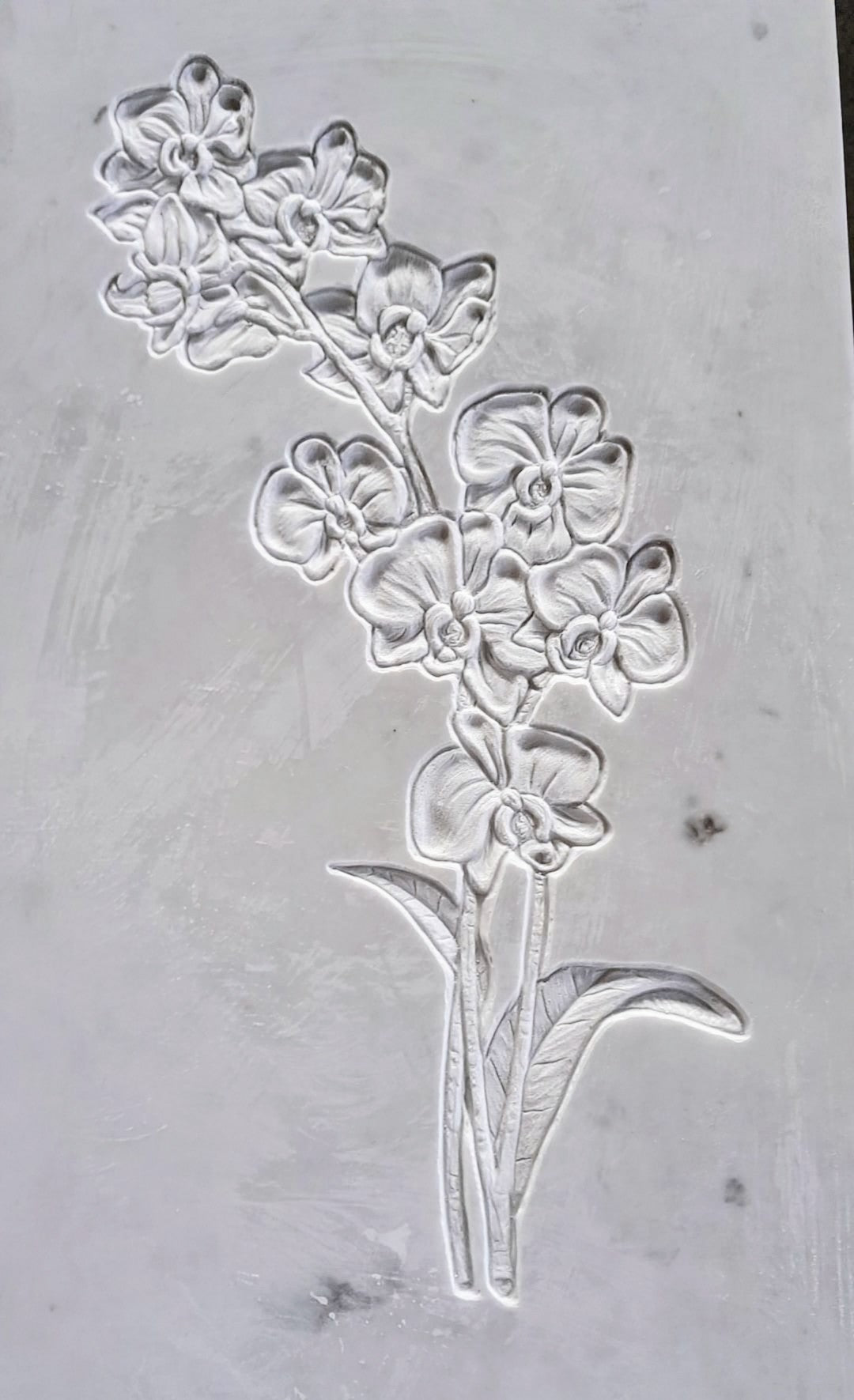 Rilievo Tralcio Orchidea STL Bassorilievo per pantografi CNC